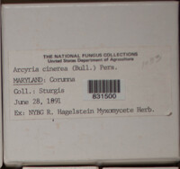 Image Associated With the Occurence